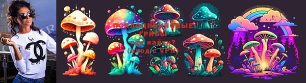 круглые Абаза