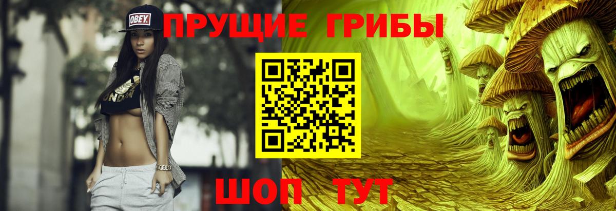 Хасавюрт  Галлюциногенные грибы прущие грибы  Вход с VPN 